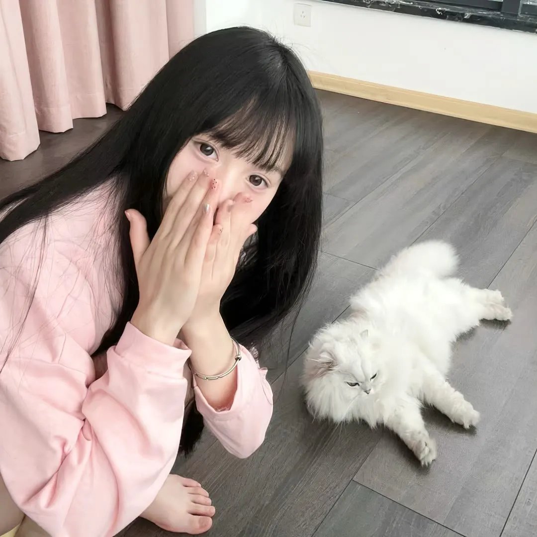 大夏境内,神灵禁行